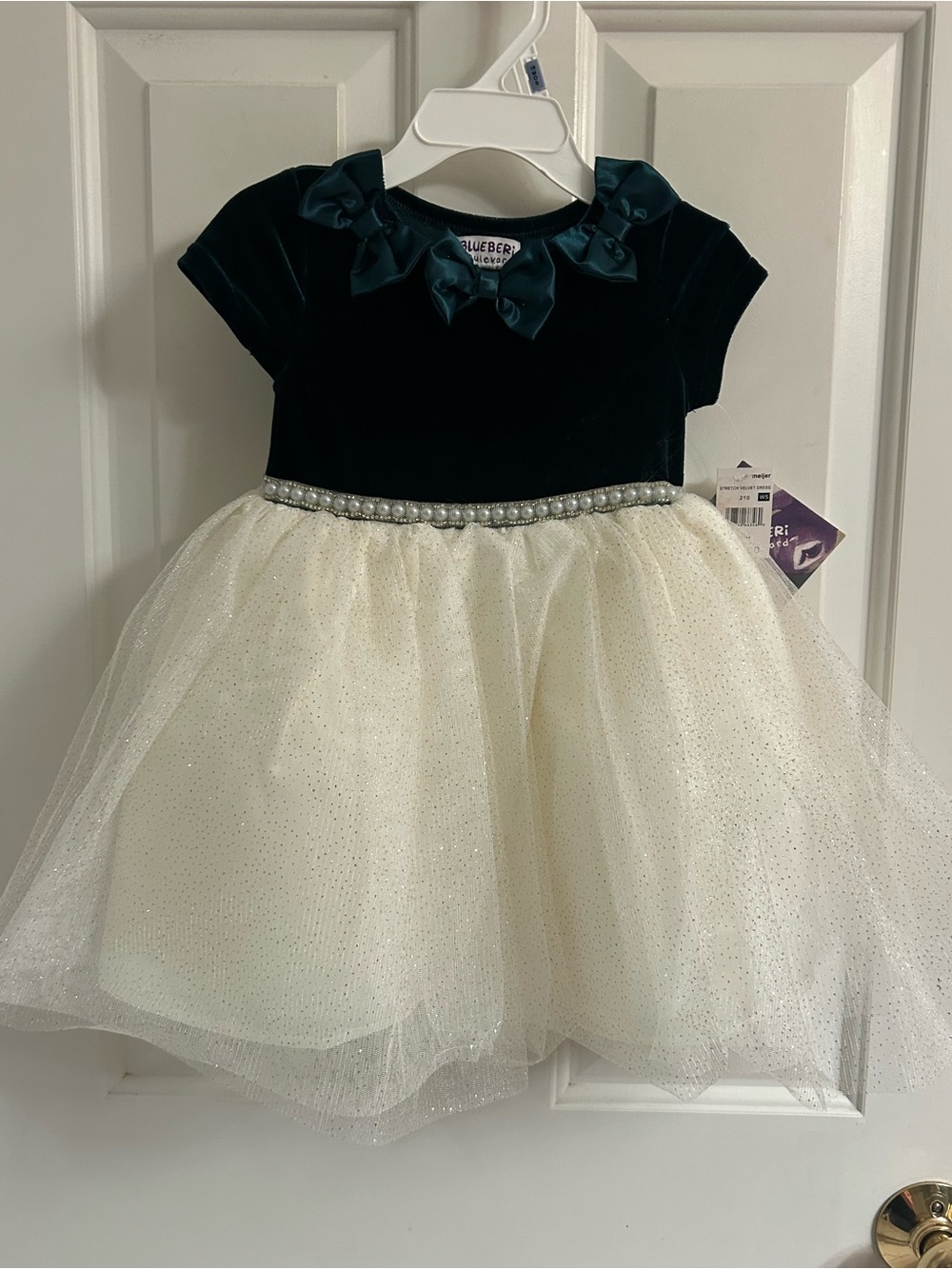 Blueberi Boulevard Girls Deep Green Velvet & Ivory Tulle Party Dress